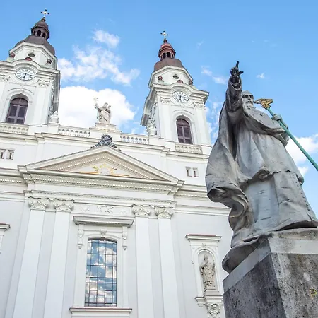 Triangle - Free Parking!